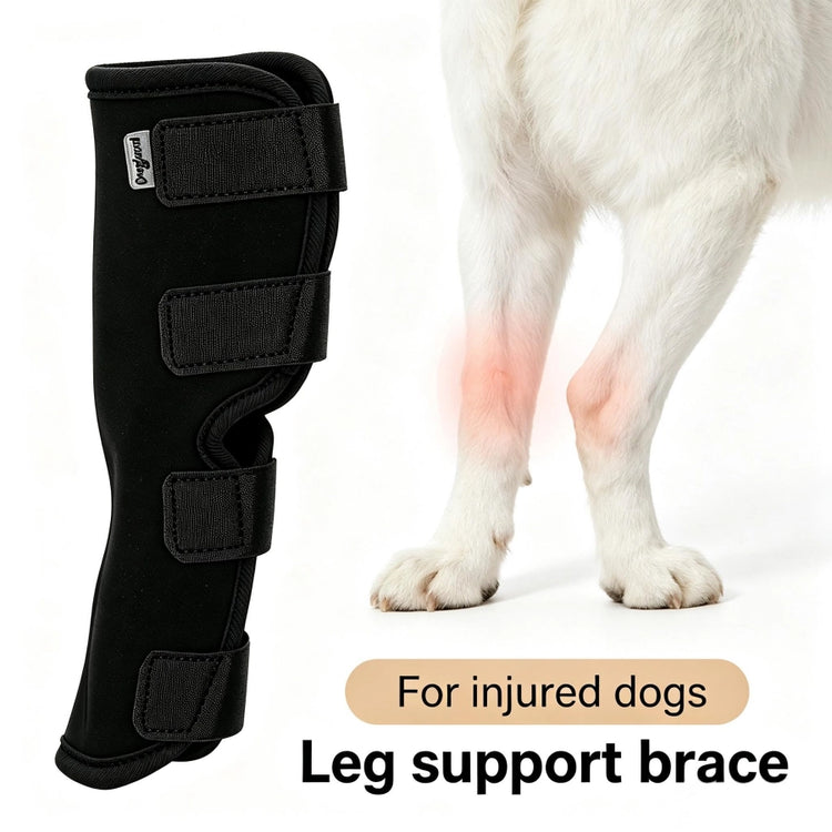 Pawsupport Dog Leg Support Brace – Neoprene Compression, Arthritis Sprain Post-Surgery Recovery, S–XL