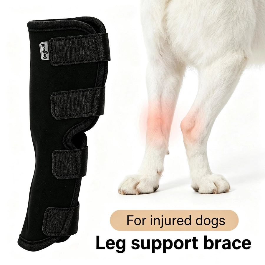Pawsupport Dog Leg Support Brace – Neoprene Compression, Arthritis Sprain Post-Surgery Recovery, S–XL