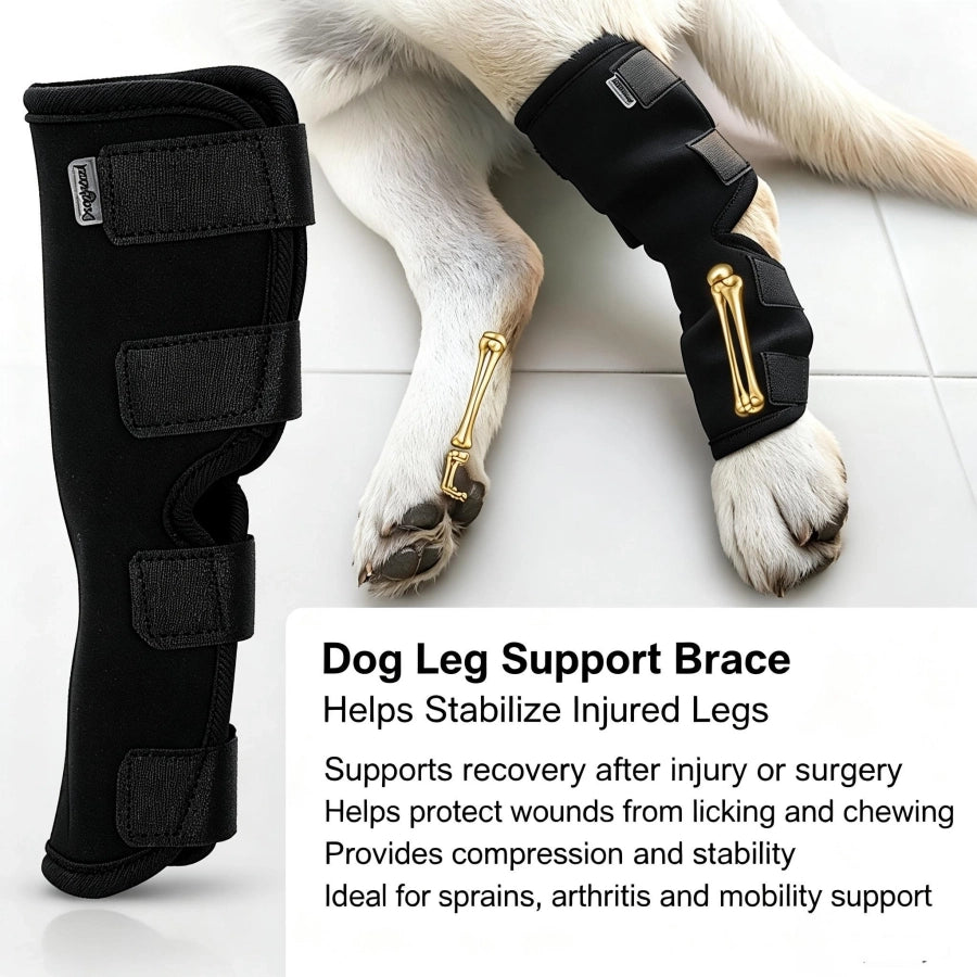 Pawsupport Dog Leg Support Brace – Neoprene Compression, Arthritis Sprain Post-Surgery Recovery, S–XL