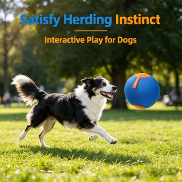 Dog Herding Ball – Inflatable Interactive Play Ball for High Energy Dogs | S/M/L