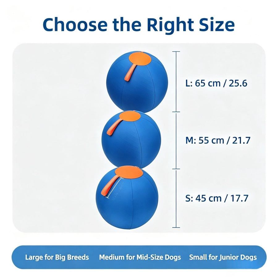 Dog Herding Ball – Inflatable Interactive Play Ball for High Energy Dogs | S/M/L