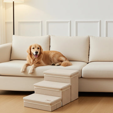 Pawsupport 4-Step Foldable Pet Stairs with Storage – Small Senior Dogs, Detachable Polyester Steps DD01299