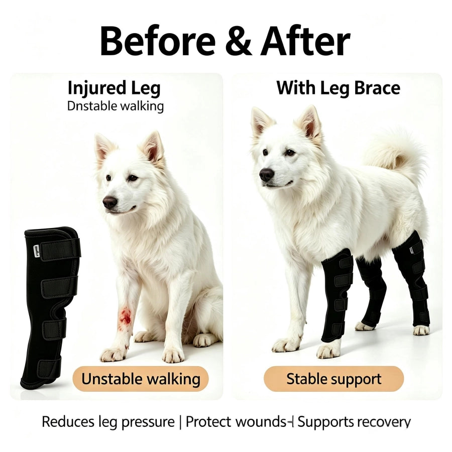 Pawsupport Dog Leg Support Brace – Neoprene Compression, Arthritis Sprain Post-Surgery Recovery, S–XL