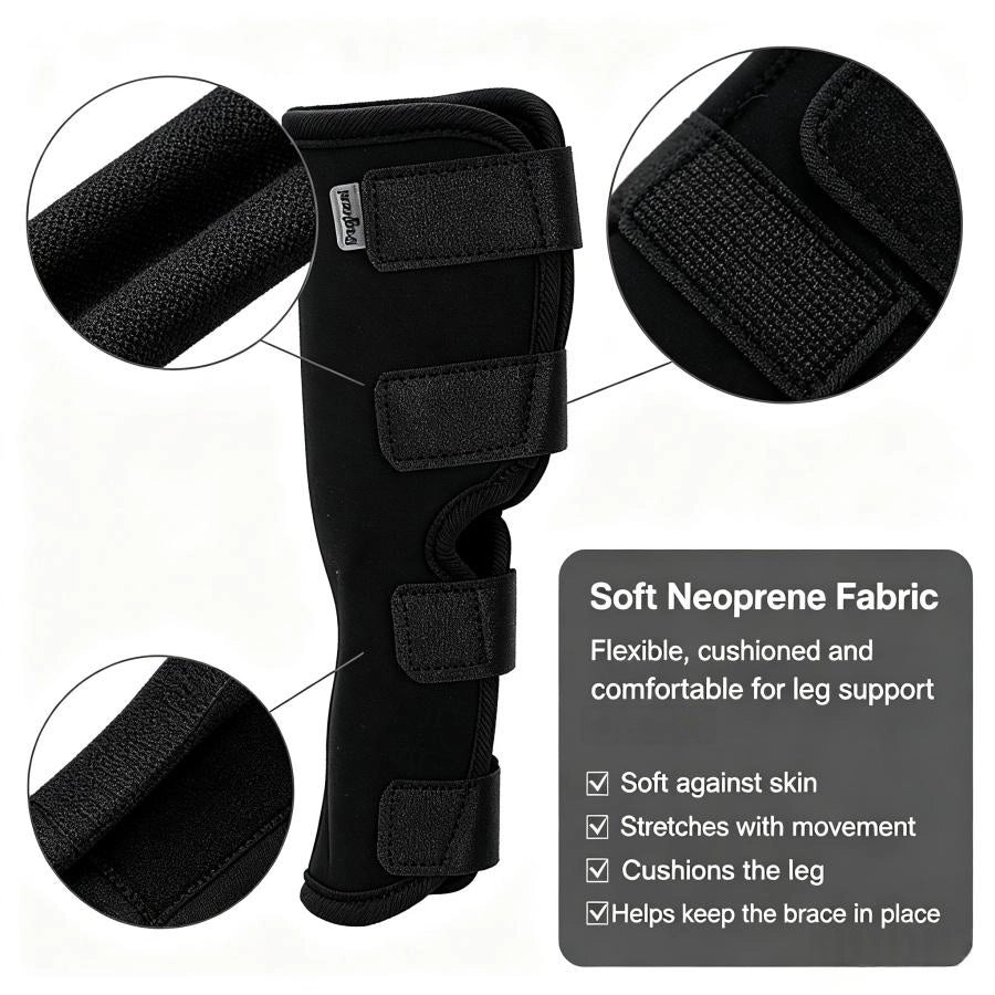 Pawsupport Dog Leg Support Brace – Neoprene Compression, Arthritis Sprain Post-Surgery Recovery, S–XL