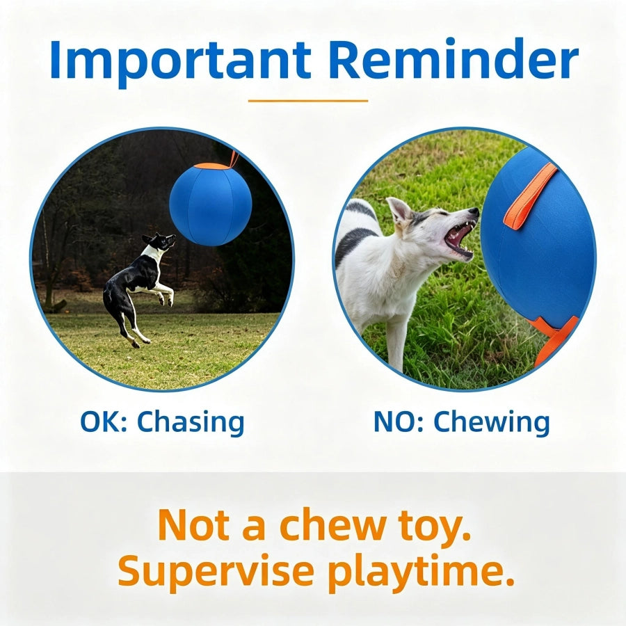 Dog Herding Ball – Inflatable Interactive Play Ball for High Energy Dogs | S/M/L