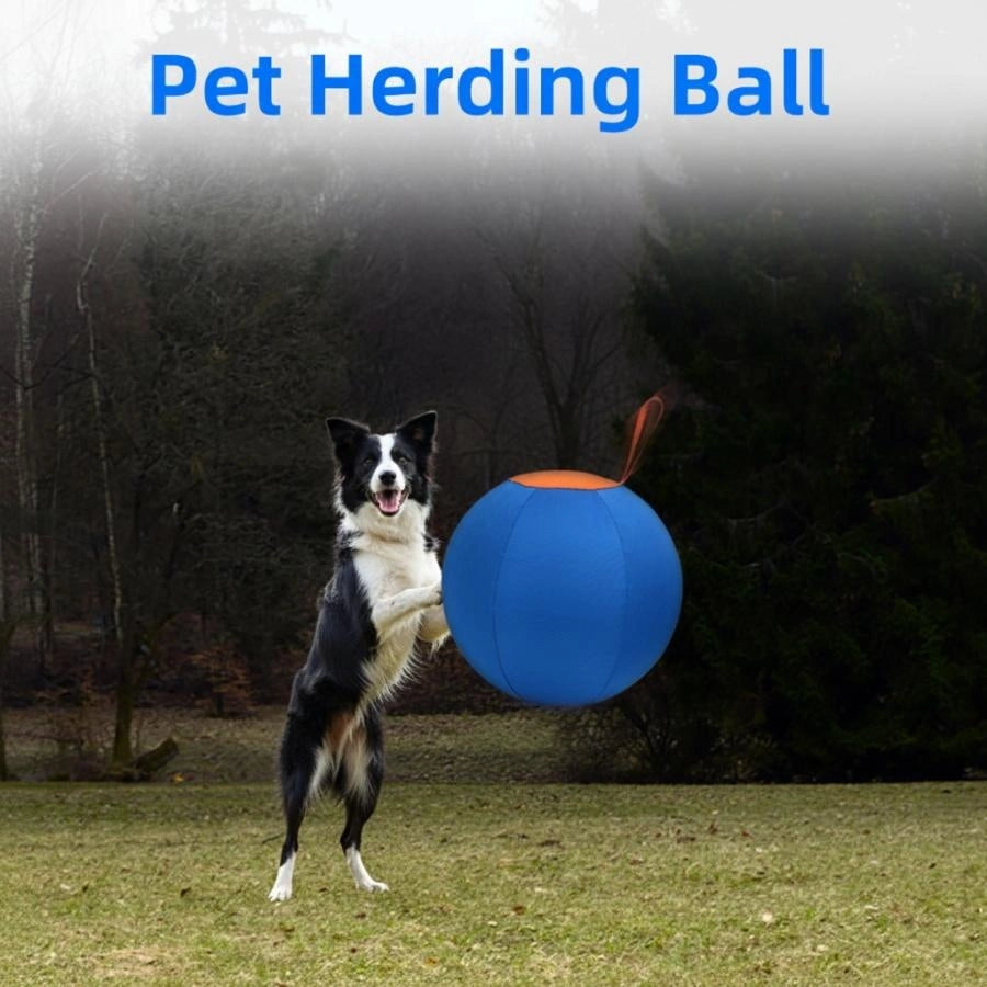 Dog Herding Ball – Inflatable Interactive Play Ball for High Energy Dogs | S/M/L