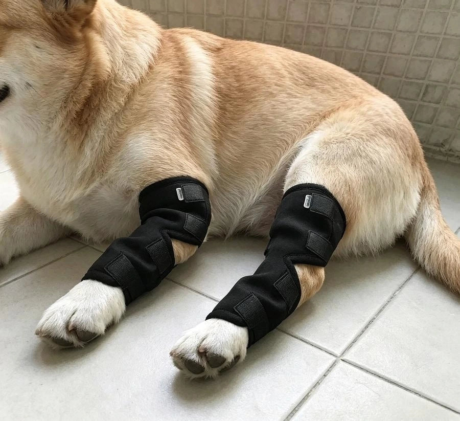 Pawsupport Dog Leg Support Brace – Neoprene Compression, Arthritis Sprain Post-Surgery Recovery, S–XL