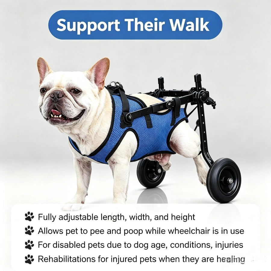 Pawsupport Dog Wheelchair for Hind Legs – Metal Frame Mobility Aid for Disabled Small Medium Dogs PD60260 M