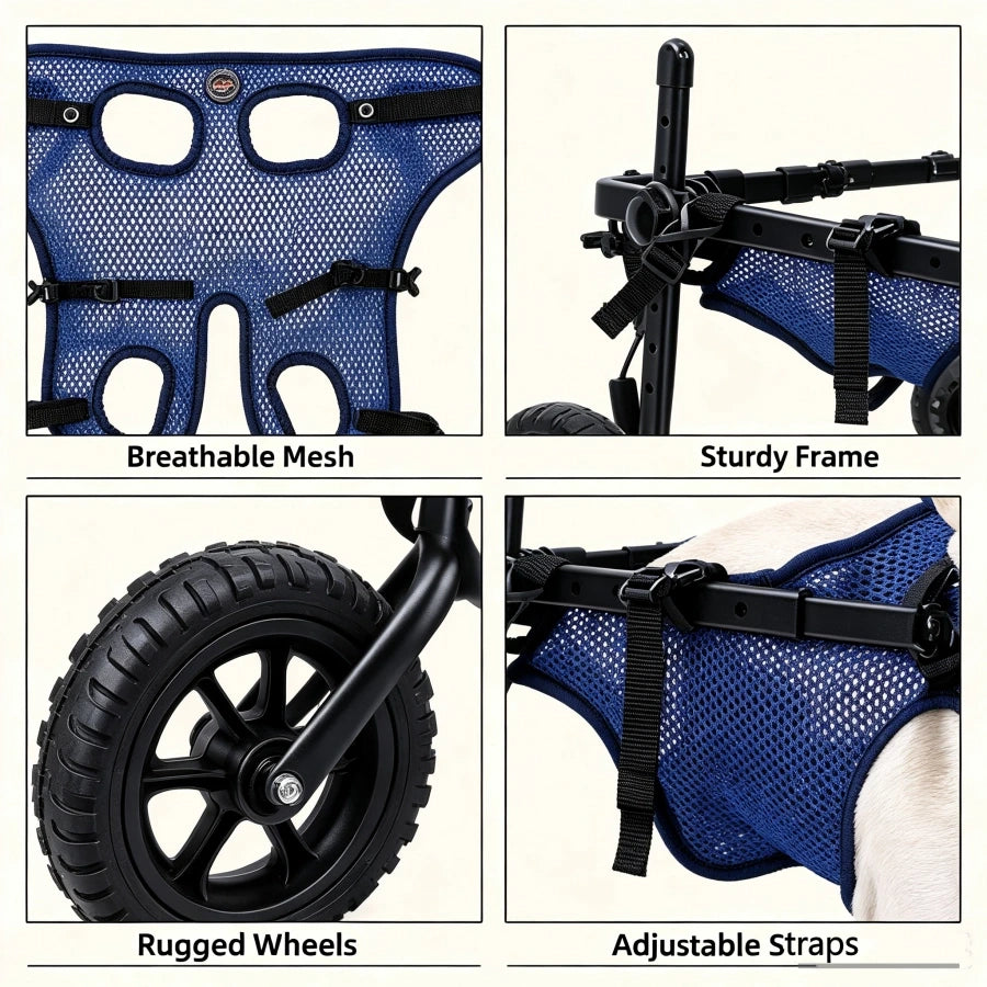 Pawsupport Adjustable Dog Wheelchair – 6-Way Fit, Foldable Hind Leg Support for Disabled Senior Dogs PD60260