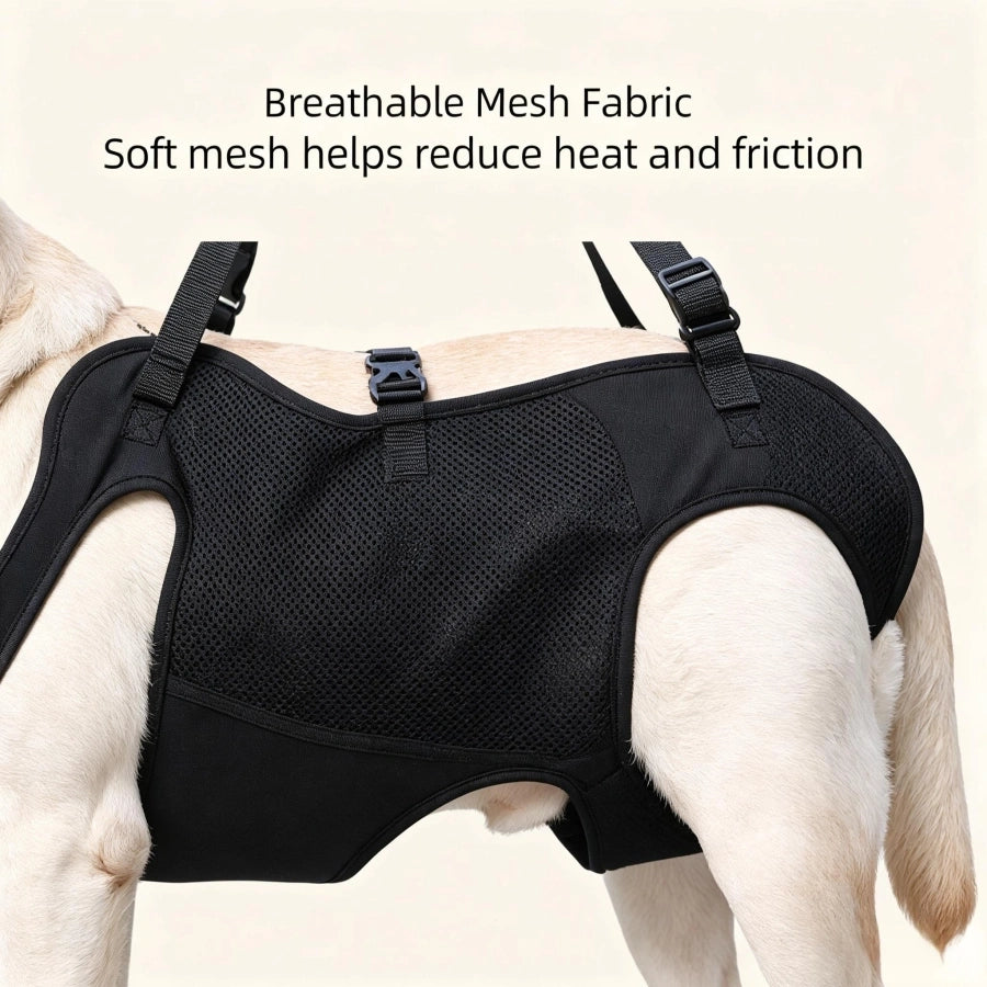 Pawsupport Full Body Dog Support Harness – Oxford Fabric Lift Sling for Senior Injured Arthritic Dogs PD60213