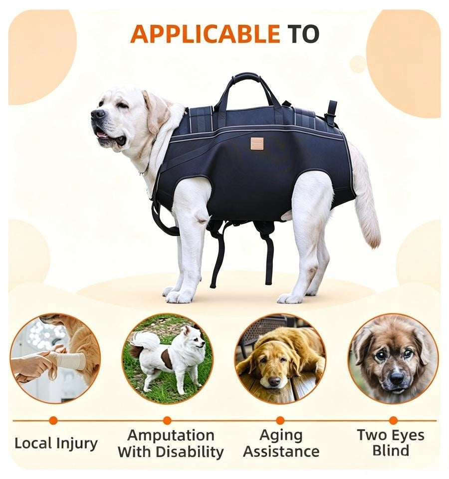 Pawsupport Senior Dog Lifting Harness – Full Body Support Sling, Hands-Free Back Carry, 6 Sizes PD30050