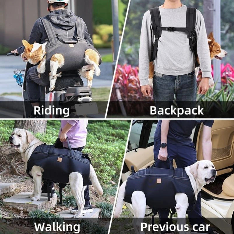 Pawsupport Senior Dog Lifting Harness – Full Body Support Sling, Hands-Free Back Carry, 6 Sizes PD30050