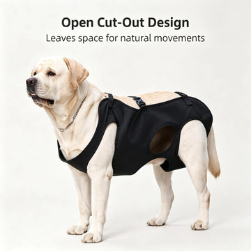 Pawsupport Full Body Dog Support Harness – Oxford Fabric Lift Sling for Senior Injured Arthritic Dogs PD60213