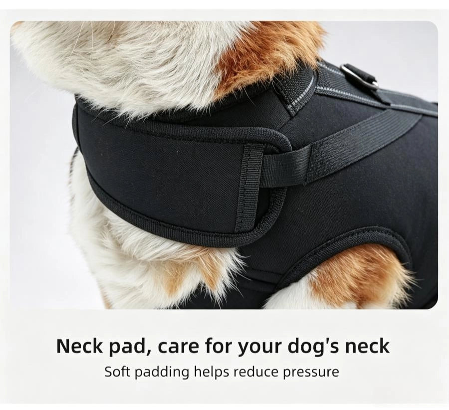 Pawsupport Senior Dog Lifting Harness – Full Body Support Sling, Hands-Free Back Carry, 6 Sizes PD30050