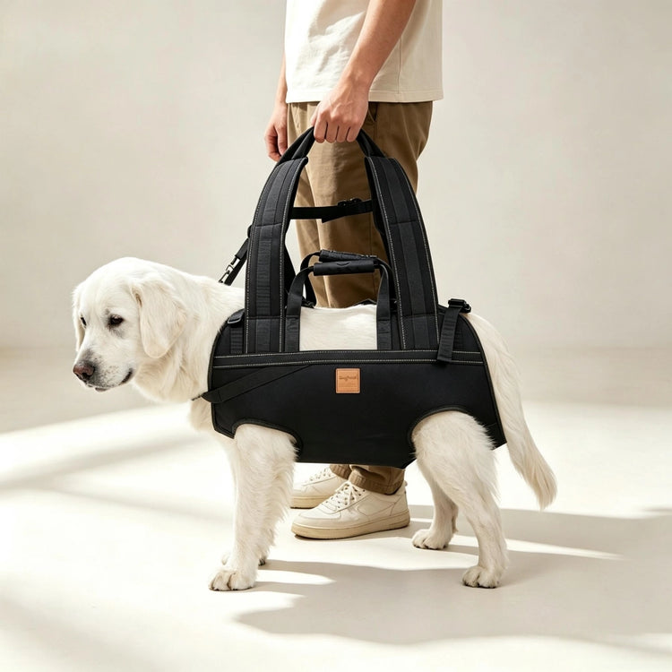 Pawsupport Senior Dog Lifting Harness – Full Body Support Sling, Hands-Free Back Carry, 6 Sizes PD30050