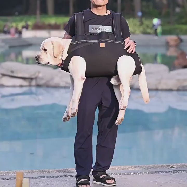 DogForti Full Body Dog Support Harness – Oxford Fabric Lift Sling for Senior Injured Arthritic Dogs PD60213