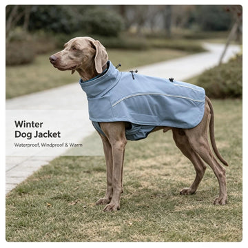 Pawsupport Waterproof Dog Winter Coat – Windproof Polyester Jacket with Reflective Trim, XS–3XL PD10062